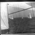 Гонки. Драконы на дистанции.jpg